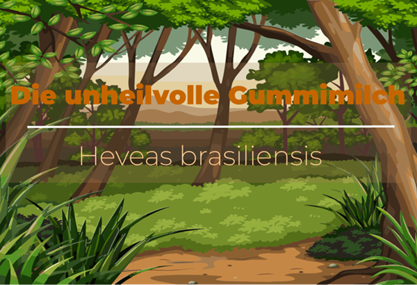 Die unheilvolle Gummimilch Die unheilvolle Gummimilch