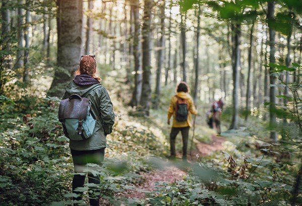 Waldbaden ist eine Wohltat für Körper, Geist und Seele  Waldbaden ist eine Wohltat für Körper, Geist und Seele