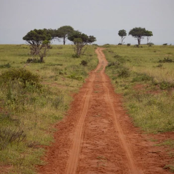 Uganda.
