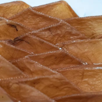 gefalteter Kombucha