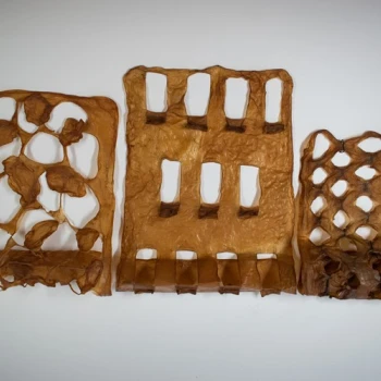 Gelaserter Kombucha