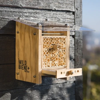 Beehome Observer mit Entdeckerschublade: Beobachte die Entwicklung deiner Wildbienen.