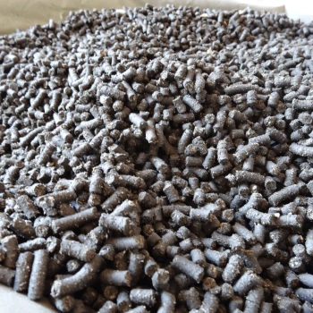 Sie entwickeln «schwarzes Gold