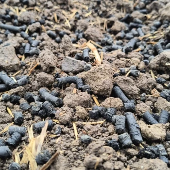 ... dank Pellets, die die Welt verändern könnten