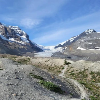 Athabasca Gletscher