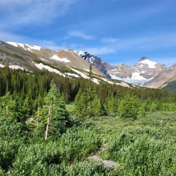 Icefields Parkway