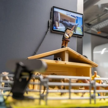 Auch Kühe und KI passen gut zusammen. In der Landwirtschaft sind viele Optimierungen möglich.