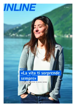 INLINE IT 02 | 2020