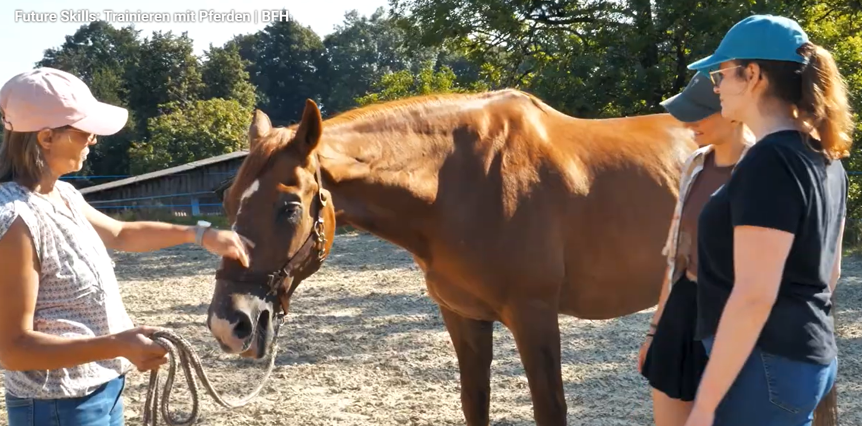 Leadership-Training mit Pferden 