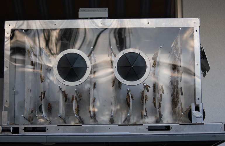 SmartBreed revolutioniert die Insektenzucht