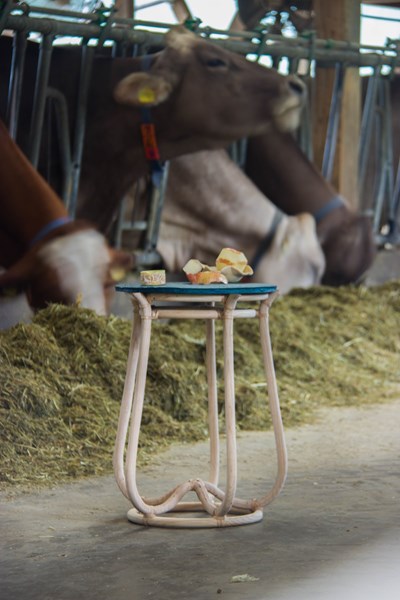 From peels to casein