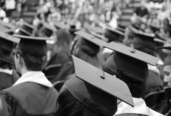 Mehr Inhalte dank der Fachhochschulen 