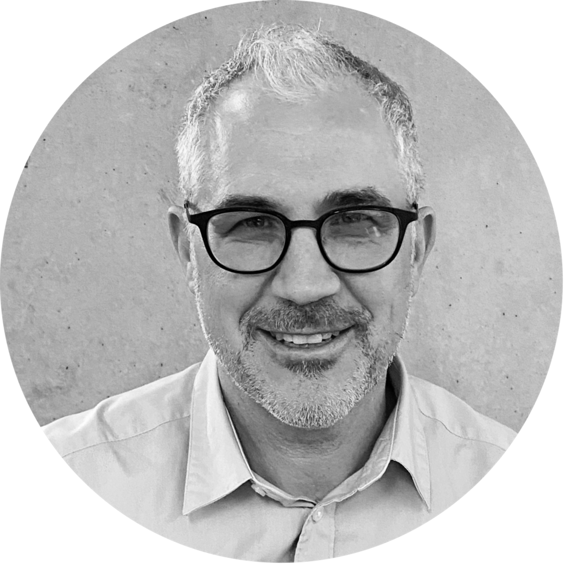 Dölf Looser Projektleiter DIPALOG