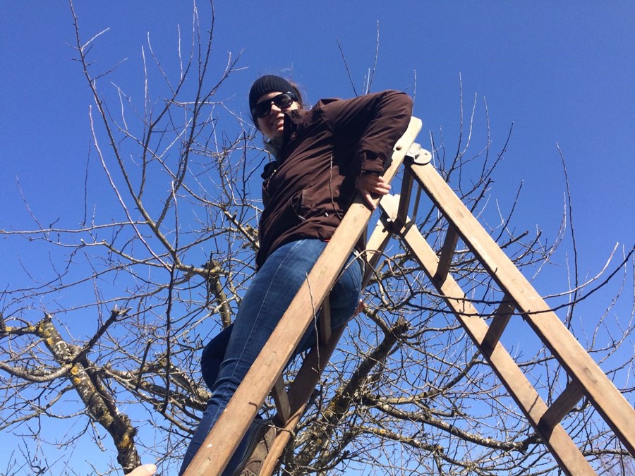 2007 als BM-Praktikantin angefangen, bereichert Claudia heute das FH-SCHWEIZ-Team in den Bereichen Public Affairs und Events. In ihrer Freizeit verbringt sie möglichst viel Zeit in der Natur. Sei es beim Wandern, e-Bike-Fahren oder Spatzieren im nebelfreien Ägerital.