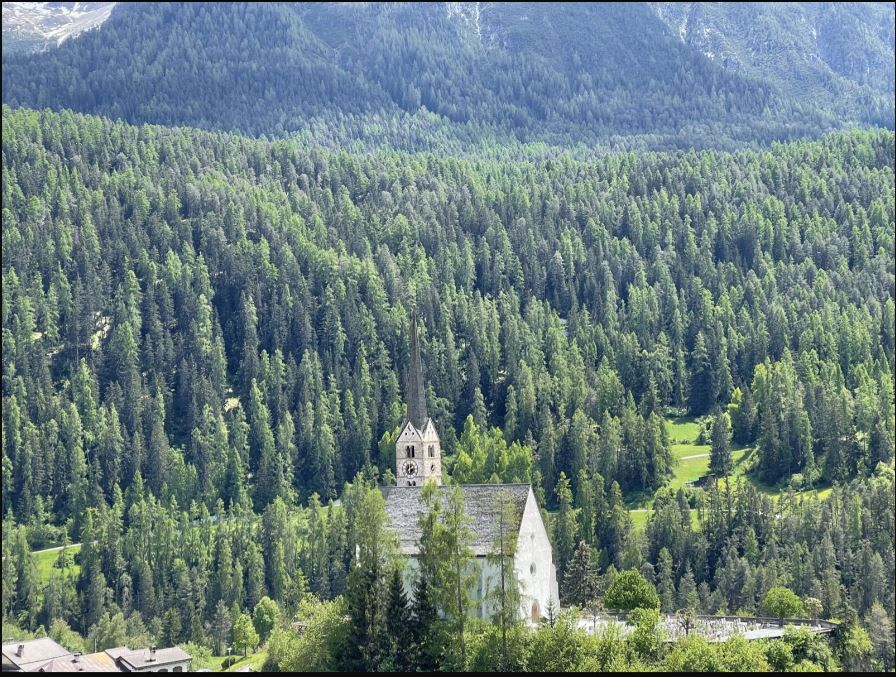 FHGR_Mega-Mega-Trend Diversity-8