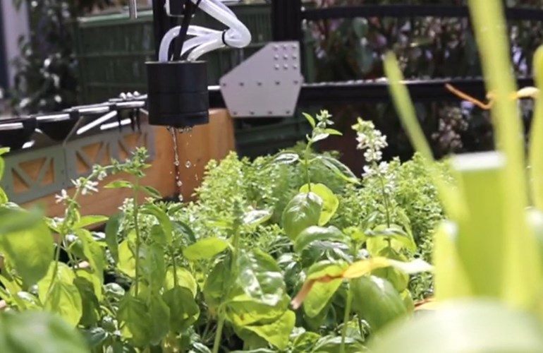 FARMBOT – mit einer Open Source Technologie zu einer automatisierten Gartenarbeit