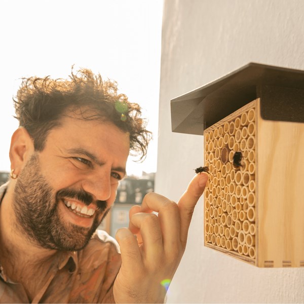 Bienen im BeeHome beobachten