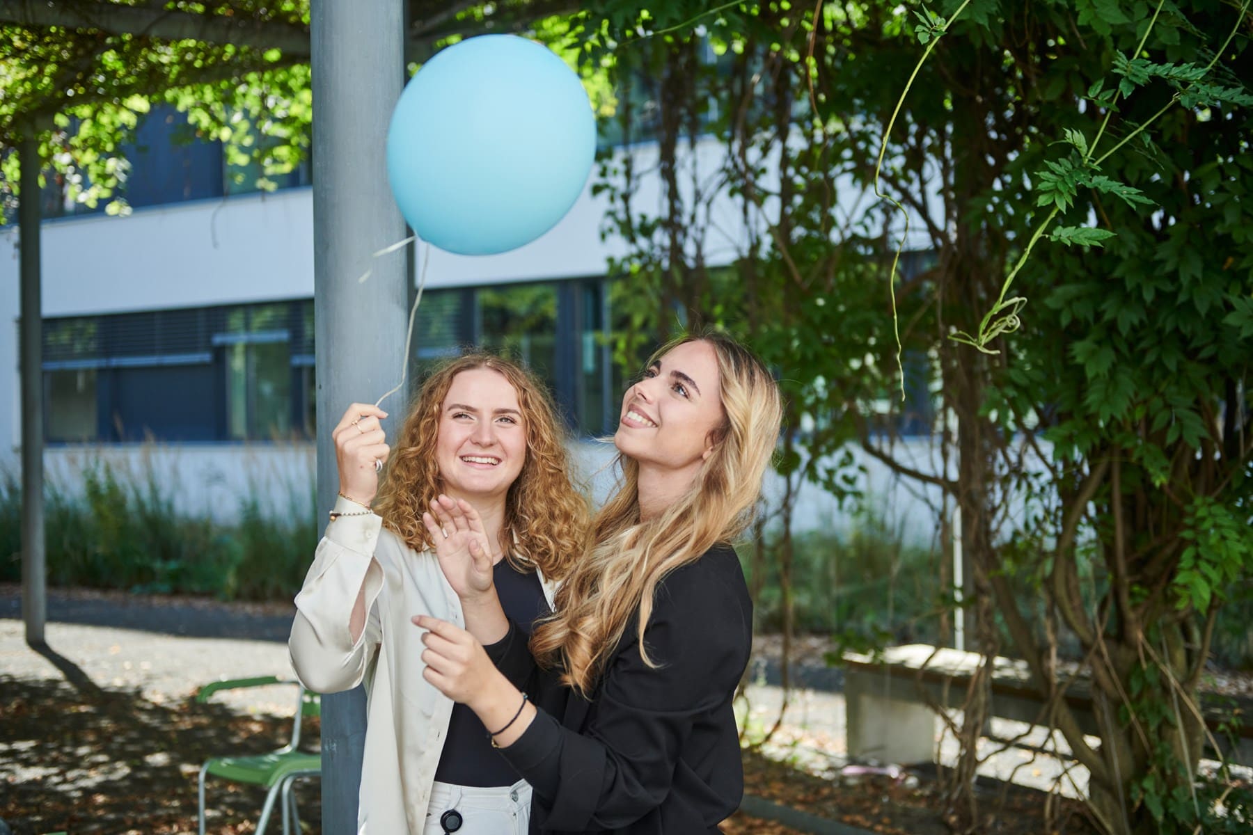 CSS – deine Chance nach dem Studium 