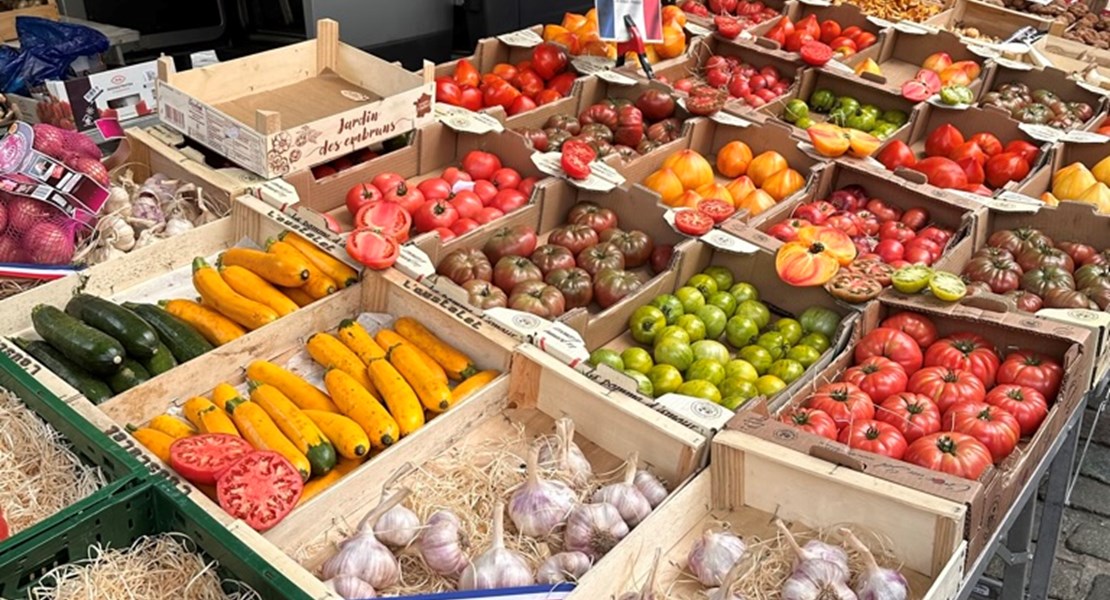 Wochenmarkt Antwerpen - Nadja Bolliger Wochenmarkt Antwerpen - Nadja Bolliger