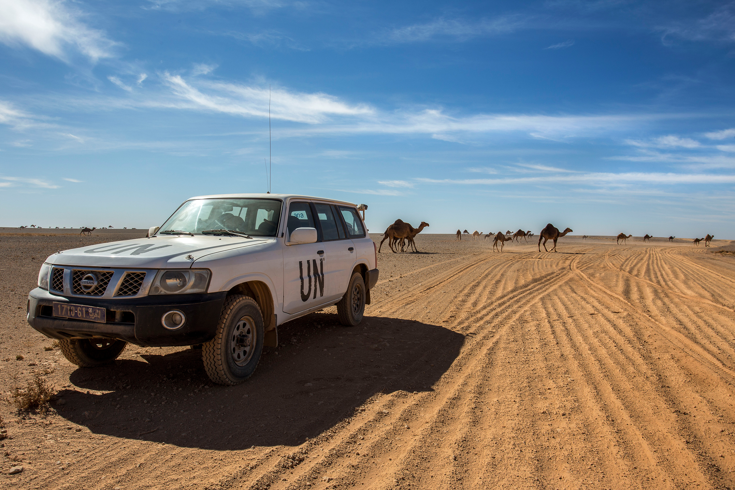 Die Komfortzone verlassen – den Horizont erweitern