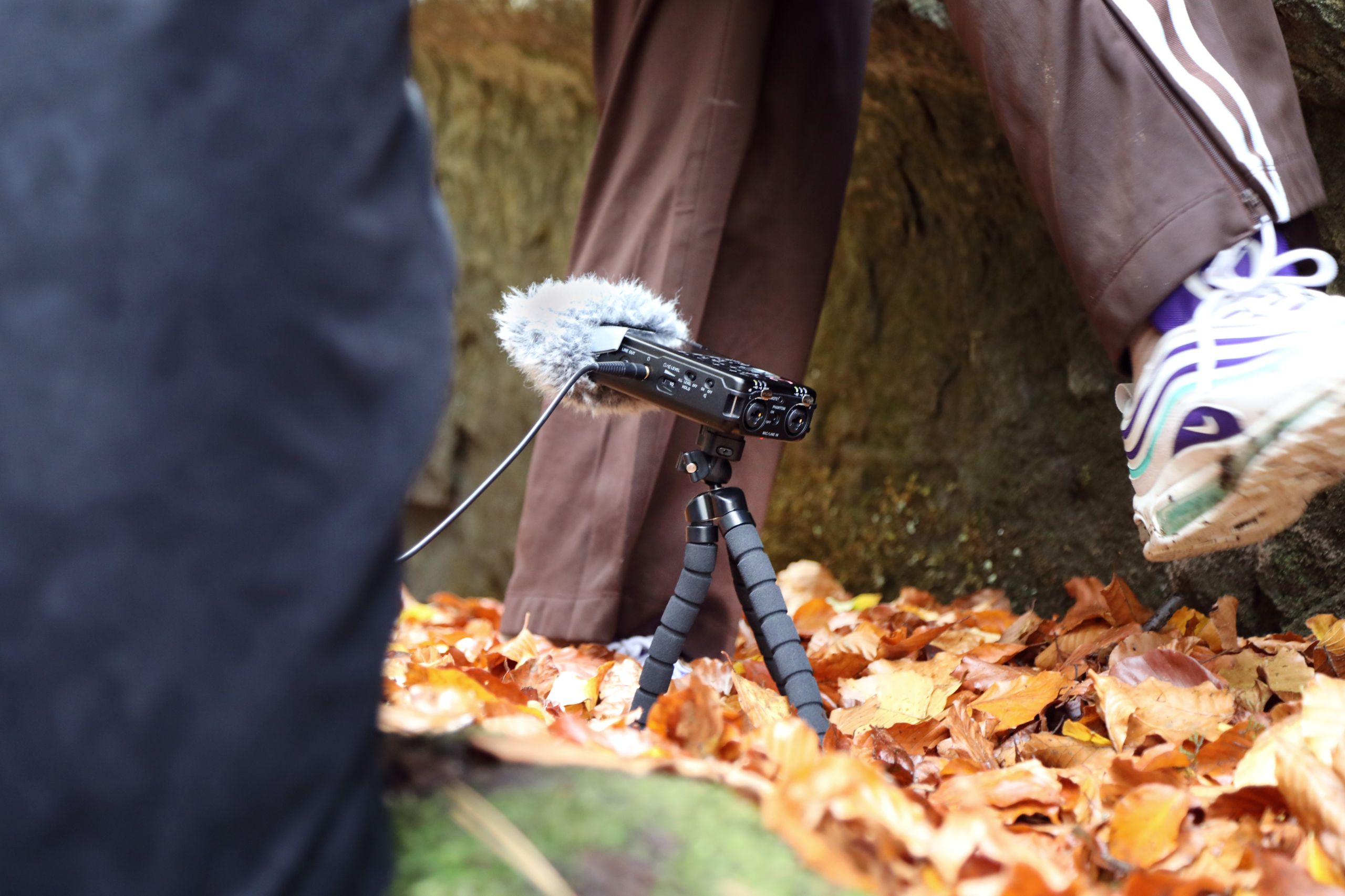 Was Sandstein erzählt