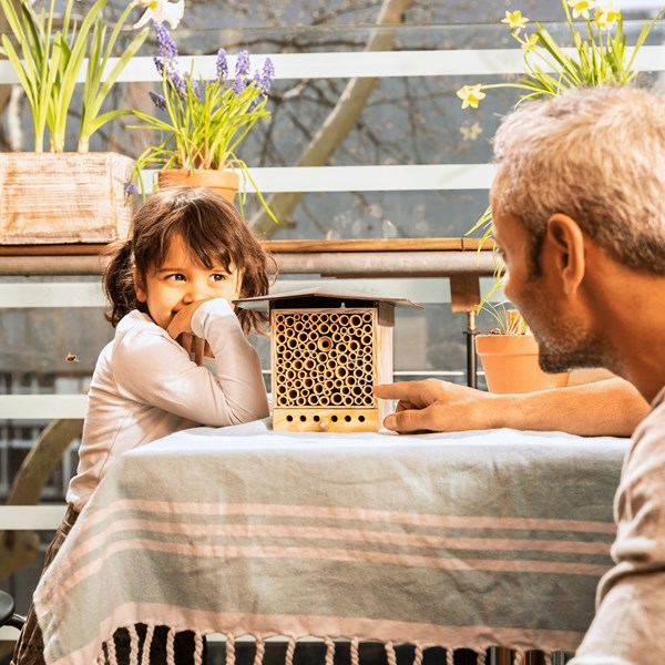 Bienen im BeeHome beobachten