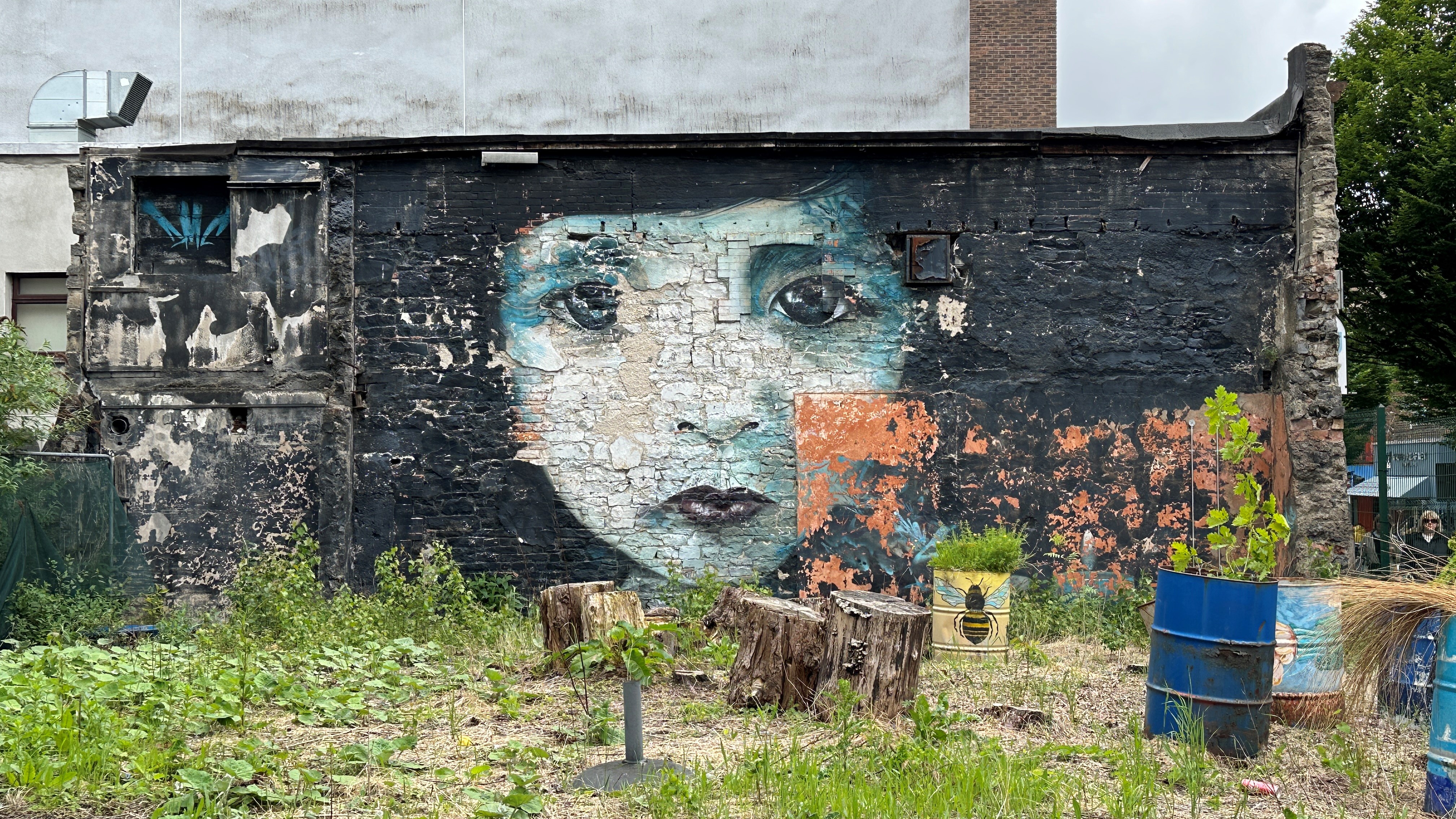 Englisch lernen in Irland und die verborgene Perle Limerick entdecken