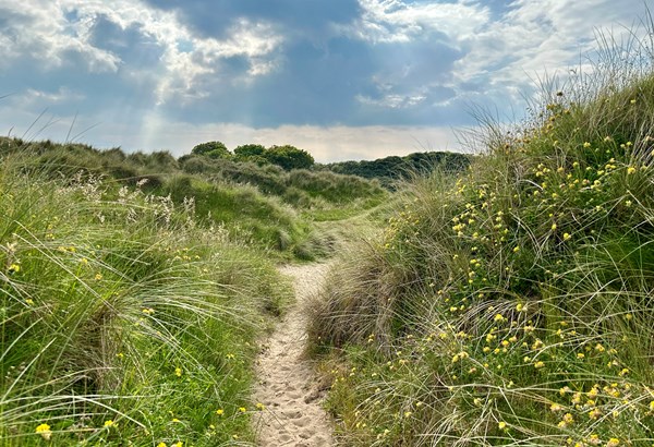 Englisch lernen in Irland und die Magie von Drogheda entdecken  Englisch lernen in Irland und die Magie von Drogheda entdecken