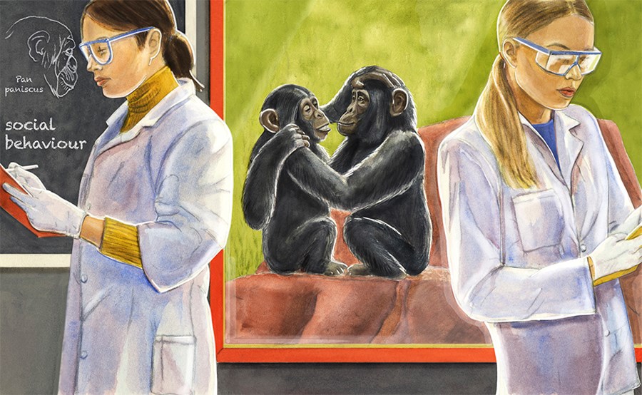 Warum «Sozialkompetenz» oft nur noch eine leere Phrase in den Stellenanzeigen ist