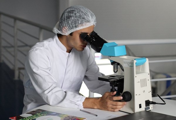 Förderung der Forschung und der Innovation Förderung der Forschung und der Innovation