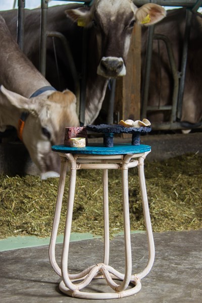 From peels to casein