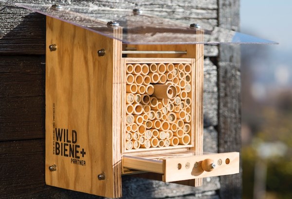 Wettbewerb Wildbiene + Partner Wettbewerb Wildbiene + Partner