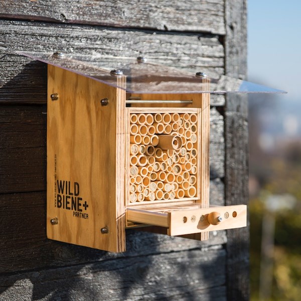 Beehome Observer mit Entdeckerschublade: Beobachte die Entwicklung deiner Wildbienen.