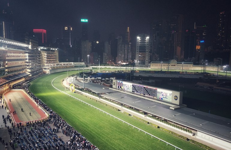 Hong Kong: Von invasiven Mitbewohnern und künstlicher Intelligenz