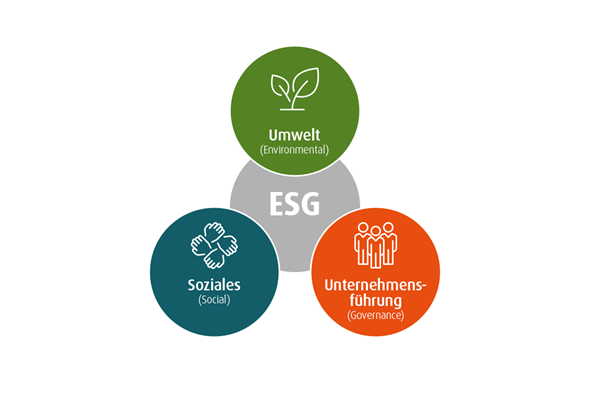 HWZ Academy-Lehrgang «Sustainable Leadership» in Kooperation mit der NZZ und Sustainable Switzerland HWZ Academy-Lehrgang «Sustainable Leadership» in Kooperation mit der NZZ und Sustainable Switzerland