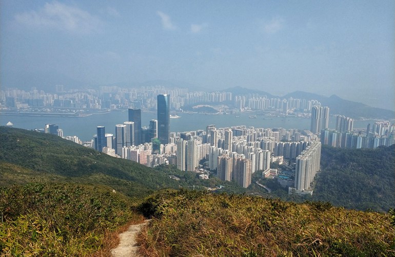 Hong Kong: Von invasiven Mitbewohnern und künstlicher Intelligenz