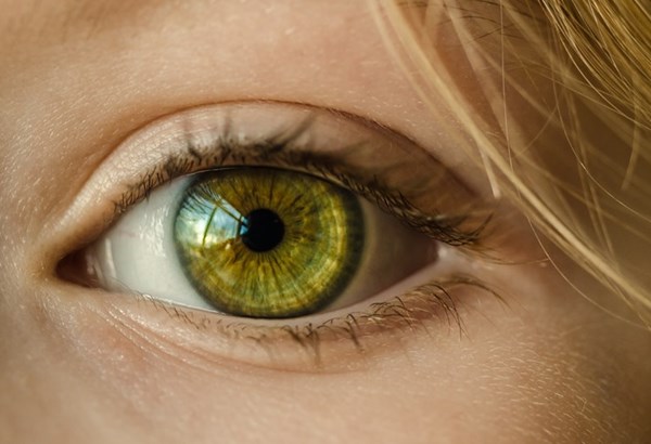 Visualisierung: Wie Bilder beim Lernen helfen Visualisierung: Wie Bilder beim Lernen helfen