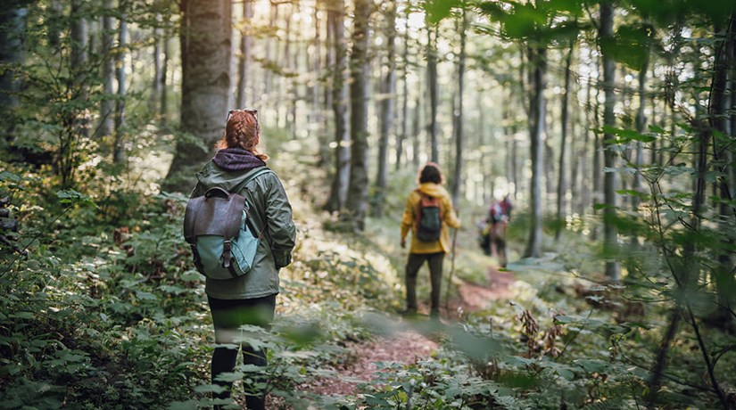 Waldbaden ist eine Wohltat für Körper, Geist und Seele Waldbaden ist eine Wohltat für Körper, Geist und Seele