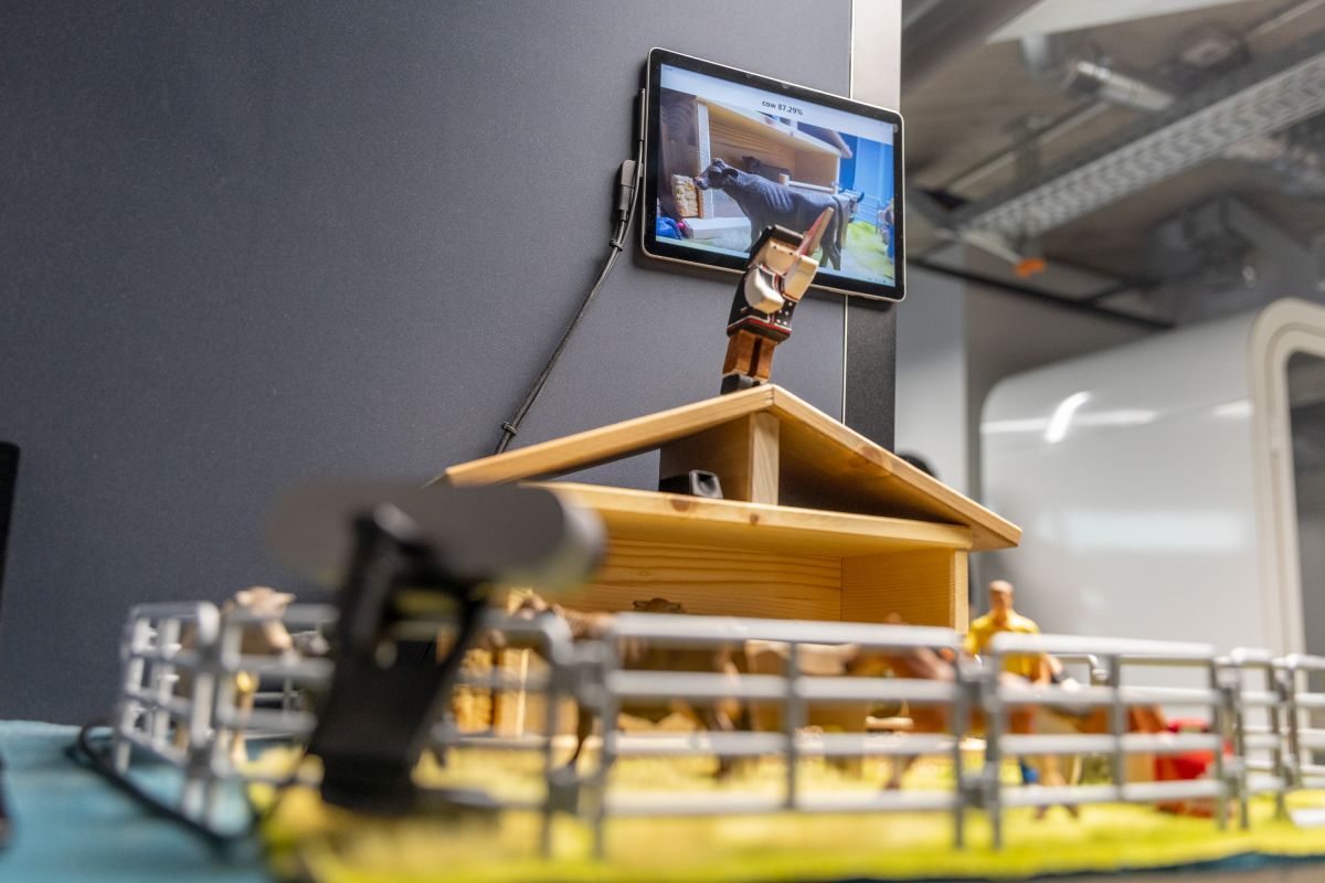 Auch Kühe und KI passen gut zusammen. In der Landwirtschaft sind viele Optimierungen möglich.