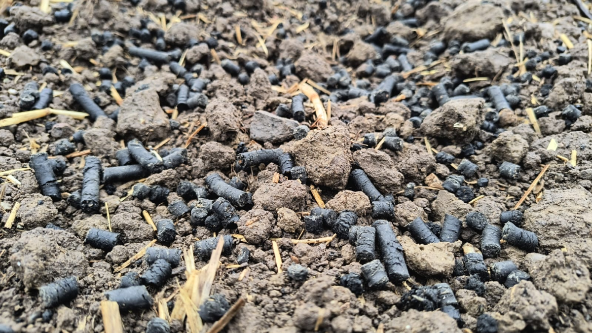 ... dank Pellets, die die Welt verändern könnten