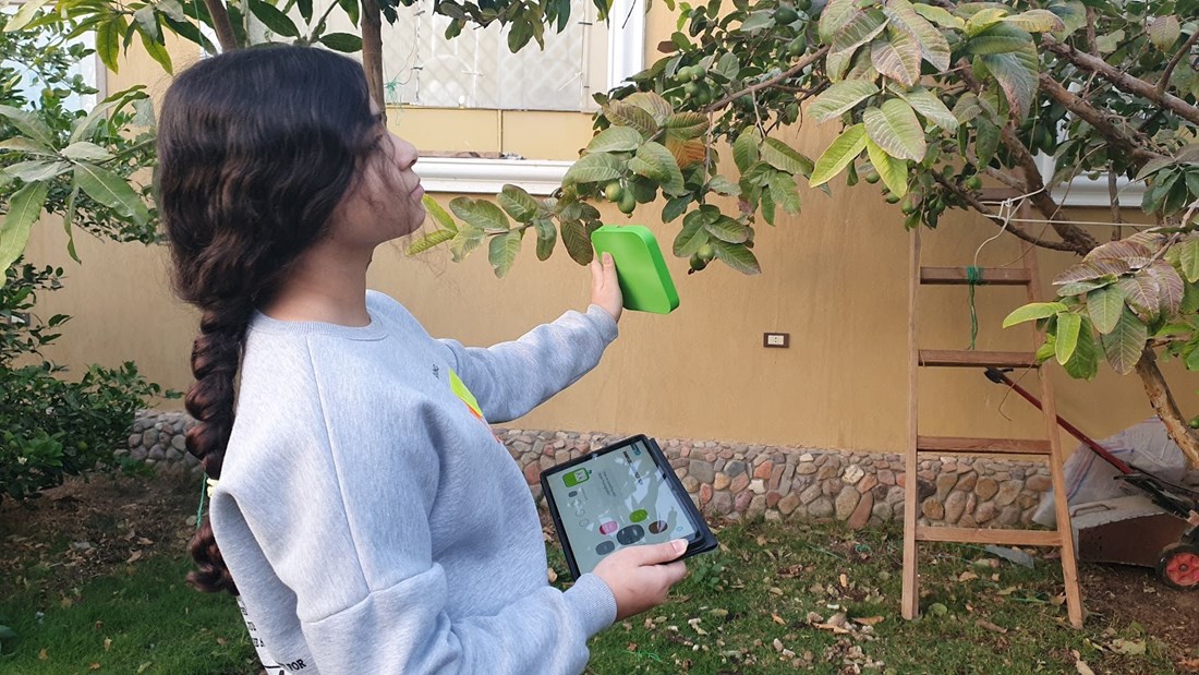 In The Picture Kenzie (12 Years Old) Is Classifying Some Natural Elements Through Colours.