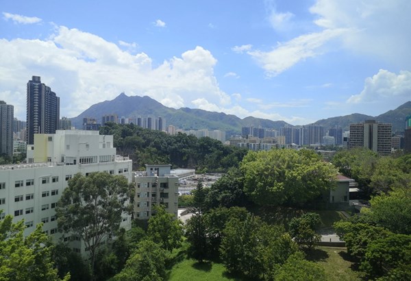 Business Psychology Studierende im Auslandssemester – Selina’s Erfahrungen in Hongkong 