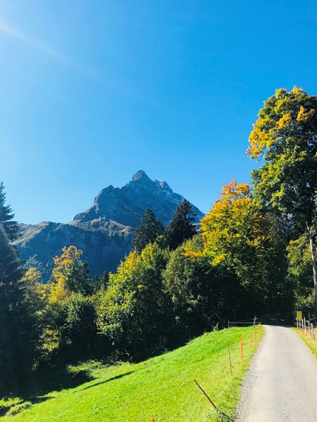 Unverhofft kommt oft! - Meine etwas andere Karriere