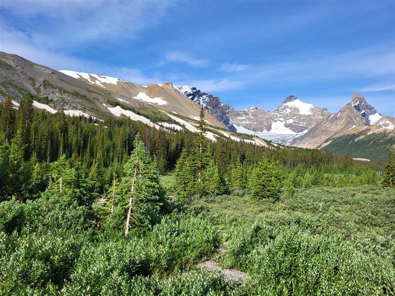 Icefields Parkway