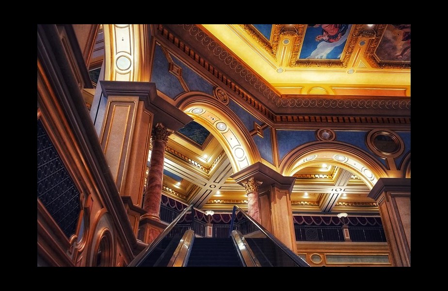 Hong Kong: Von invasiven Mitbewohnern und künstlicher Intelligenz